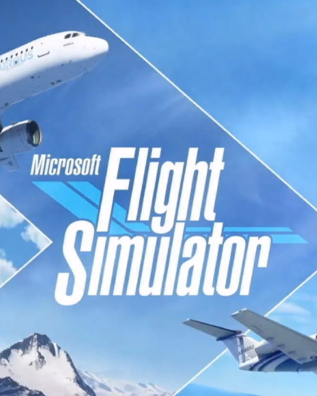 ESD Microsoft Flight Simulator