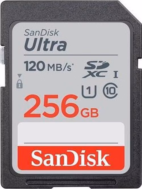 SanDisk Ultra GO SDXC UHS-I Card 256GB SD 190MB/s Read Full HD video