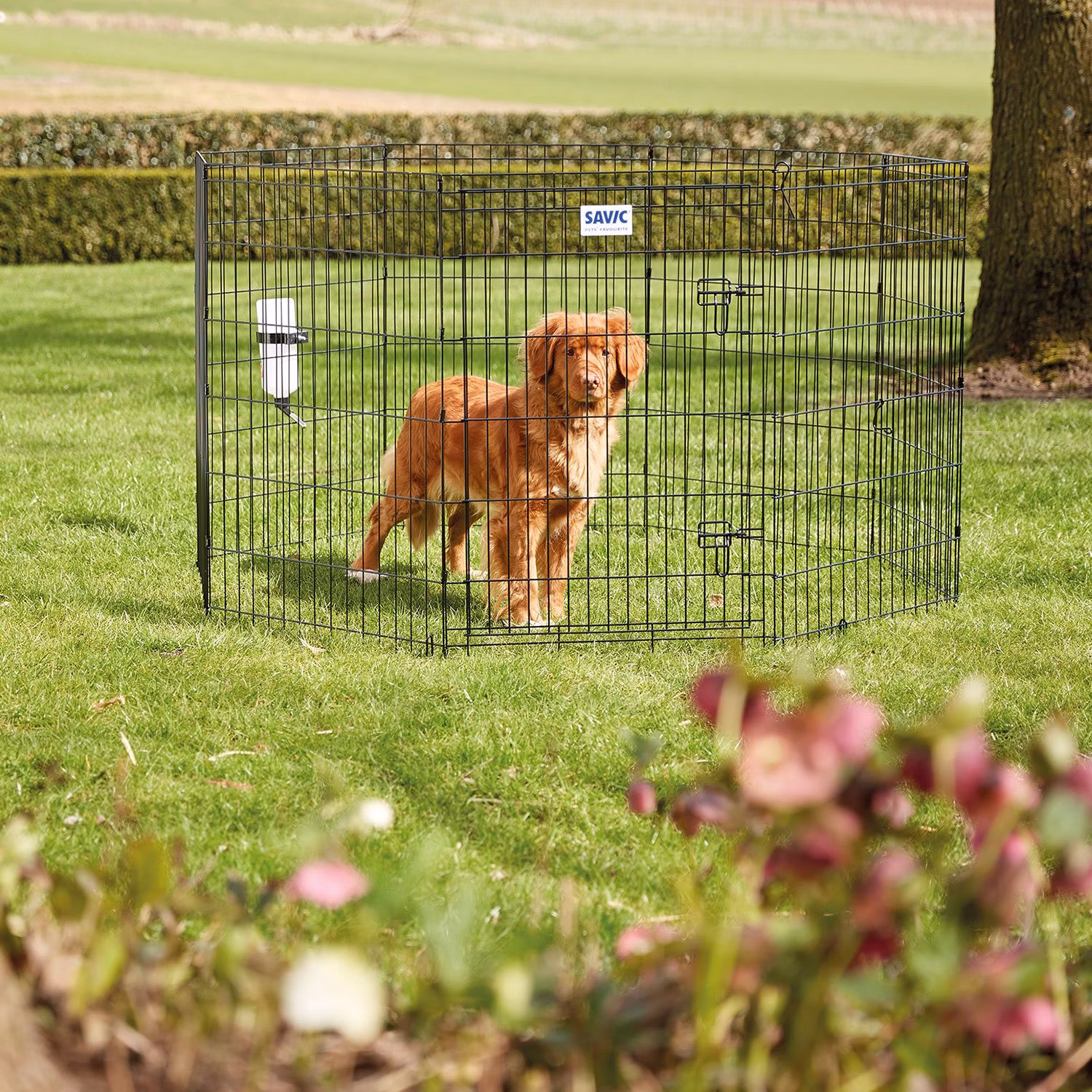 Ohradka Savic Dog Park 1 61cm