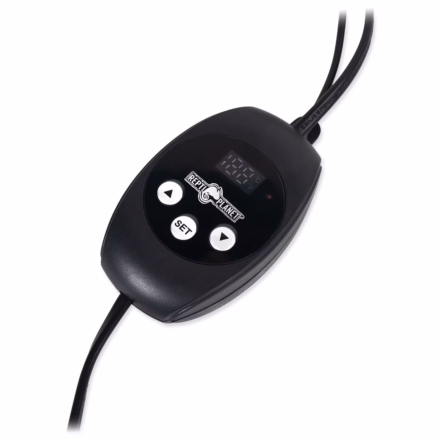 RP Termostat Mini PID 300W