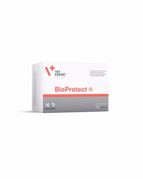 195b019eb7bb83076fda7727e1dcad80