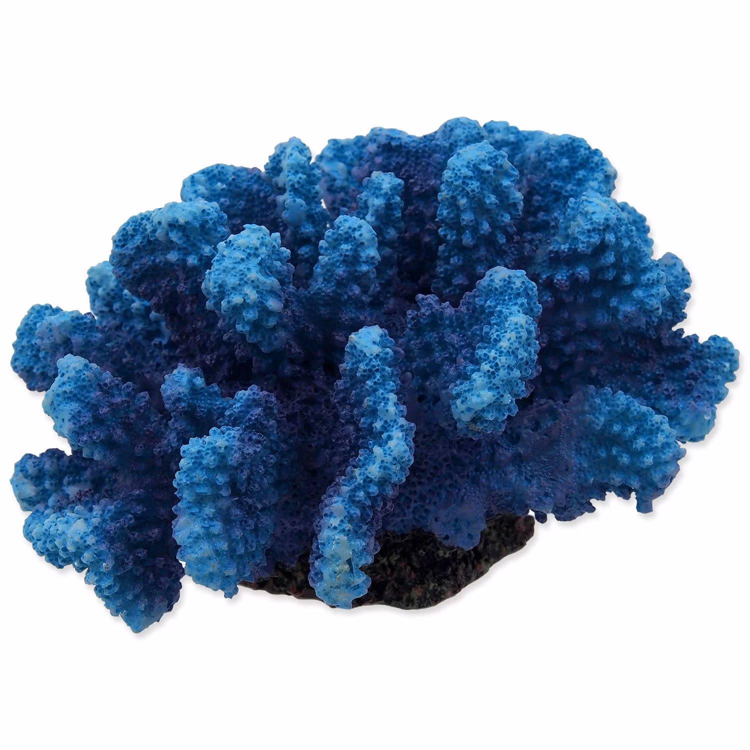 Dekorácia Aqua Excellent Morský Korál modrý 14,5x10,5x7,4cm