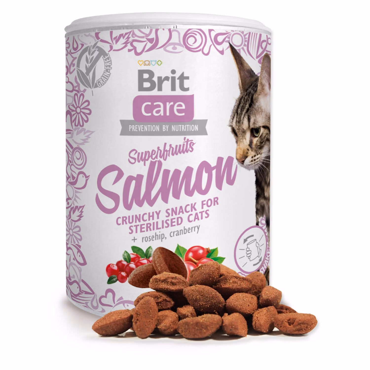 Pochúťka Brit Care Cat Snack Superfruits losos 100g