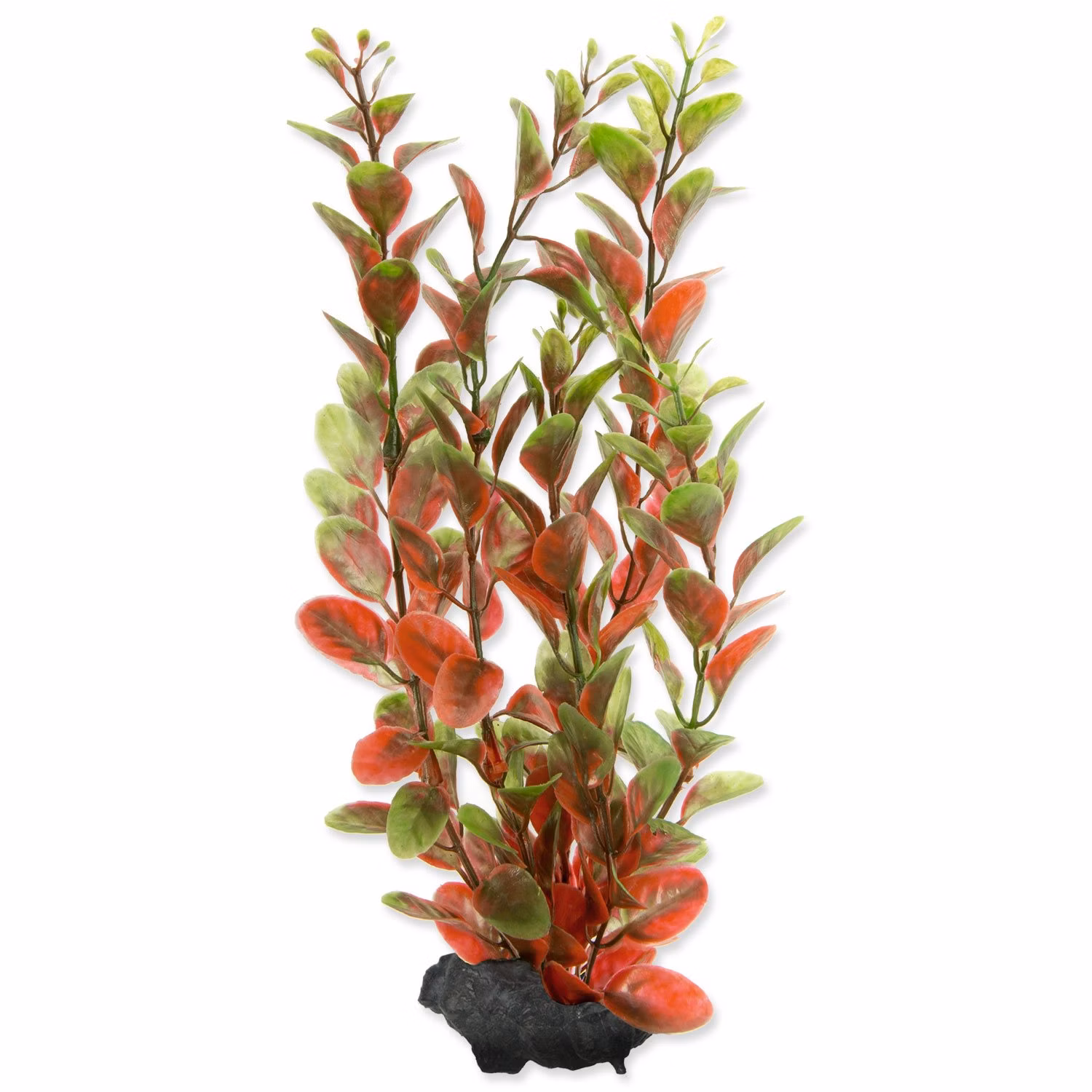Dekorácia Tetra Rastlina Red Ludwigia M 23cm