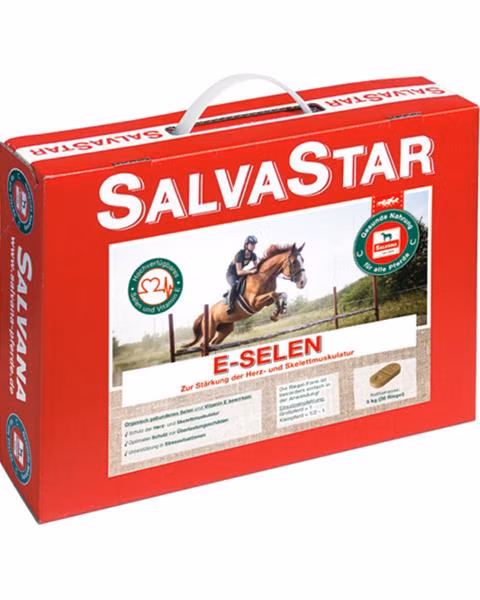 SALVASTAR E-SELEN pre kone 5 kg (brikety)