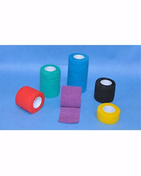 3d56380a70da26ee79500a1b150016fc