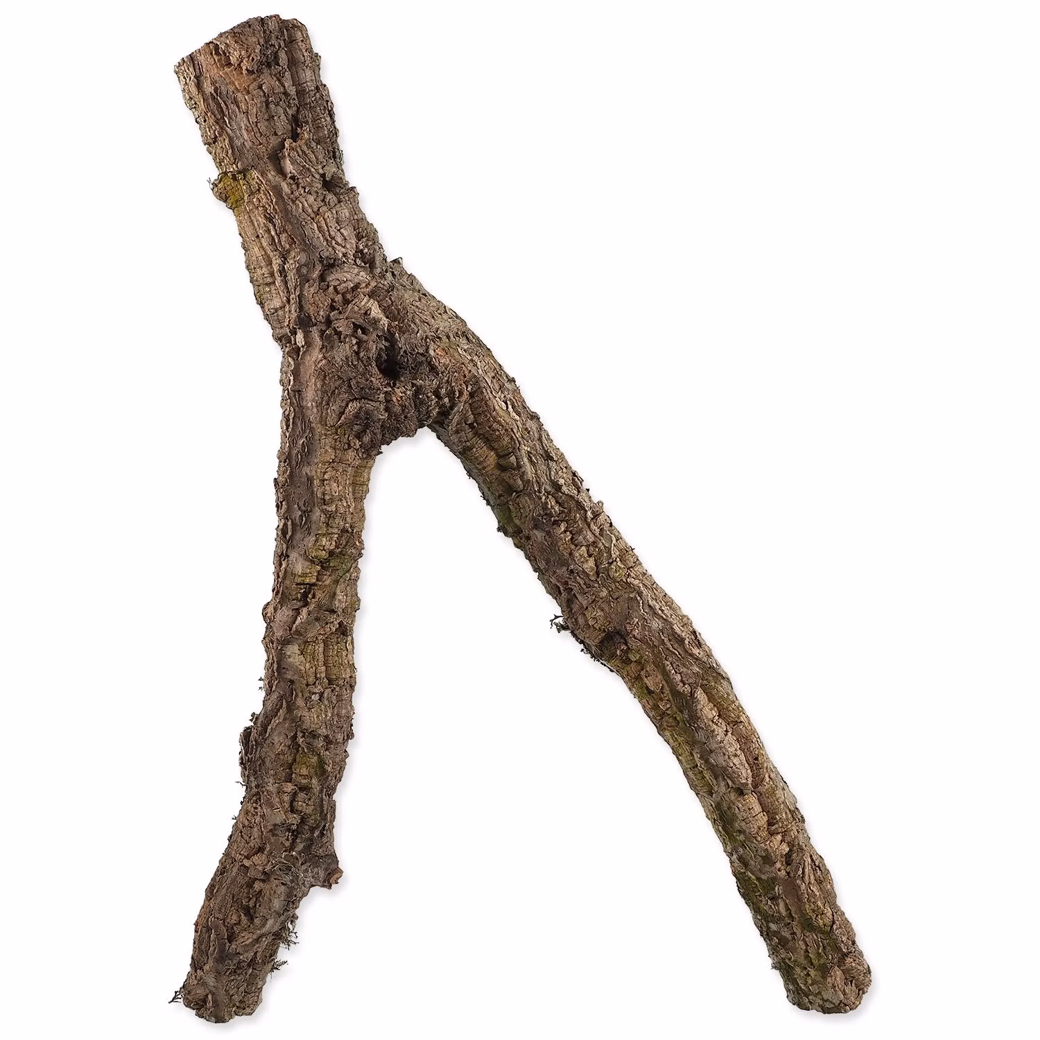 Dekorácia Repti Planet Korková vetvička M 30-60 cm