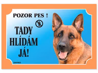 3f472bf64ad6f51eeb8afa9771cbdf92