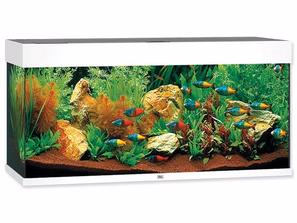 Akvarijný set Juwel Rio LED 180 biely 101x41x50cm 180l