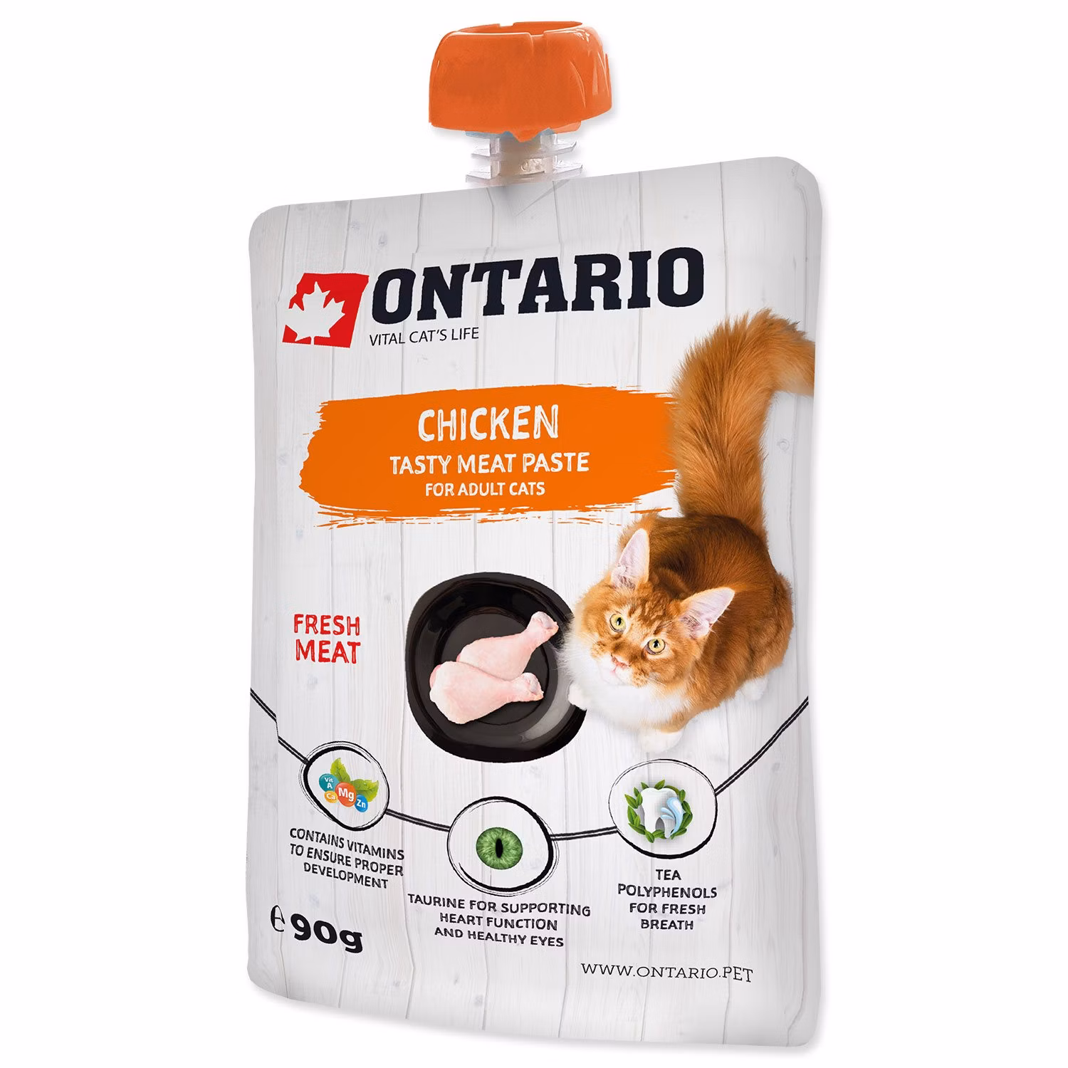 Pasta Ontario kura 90g