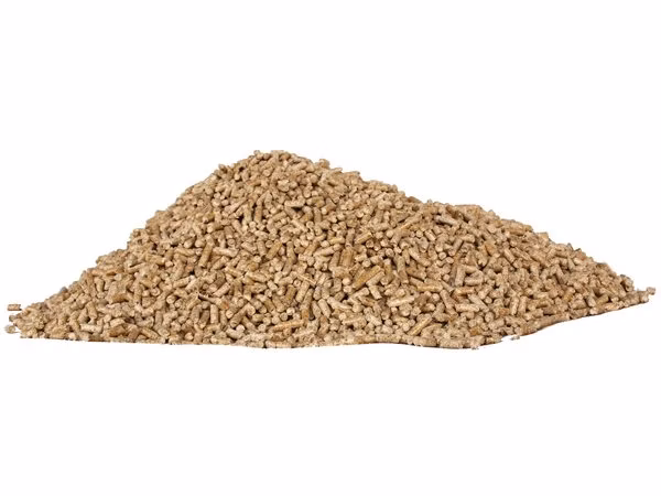 Podstielka Cats Best Universal 40l/22kg