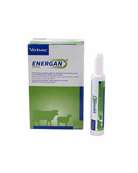 Energan Ketose pasta 12 x 300 g
