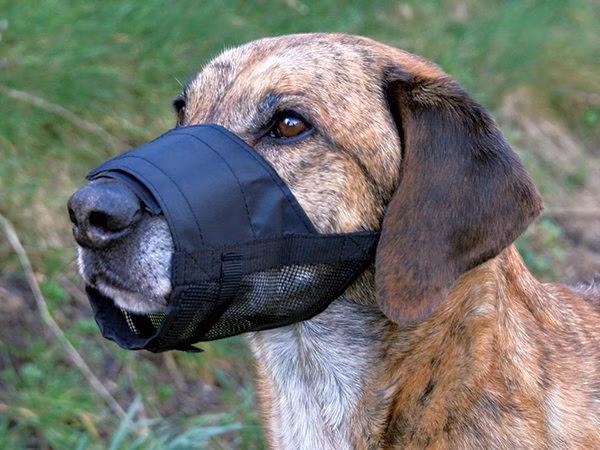 Náhubok Trixie so sieťkou čierny L-XL 24-34cm