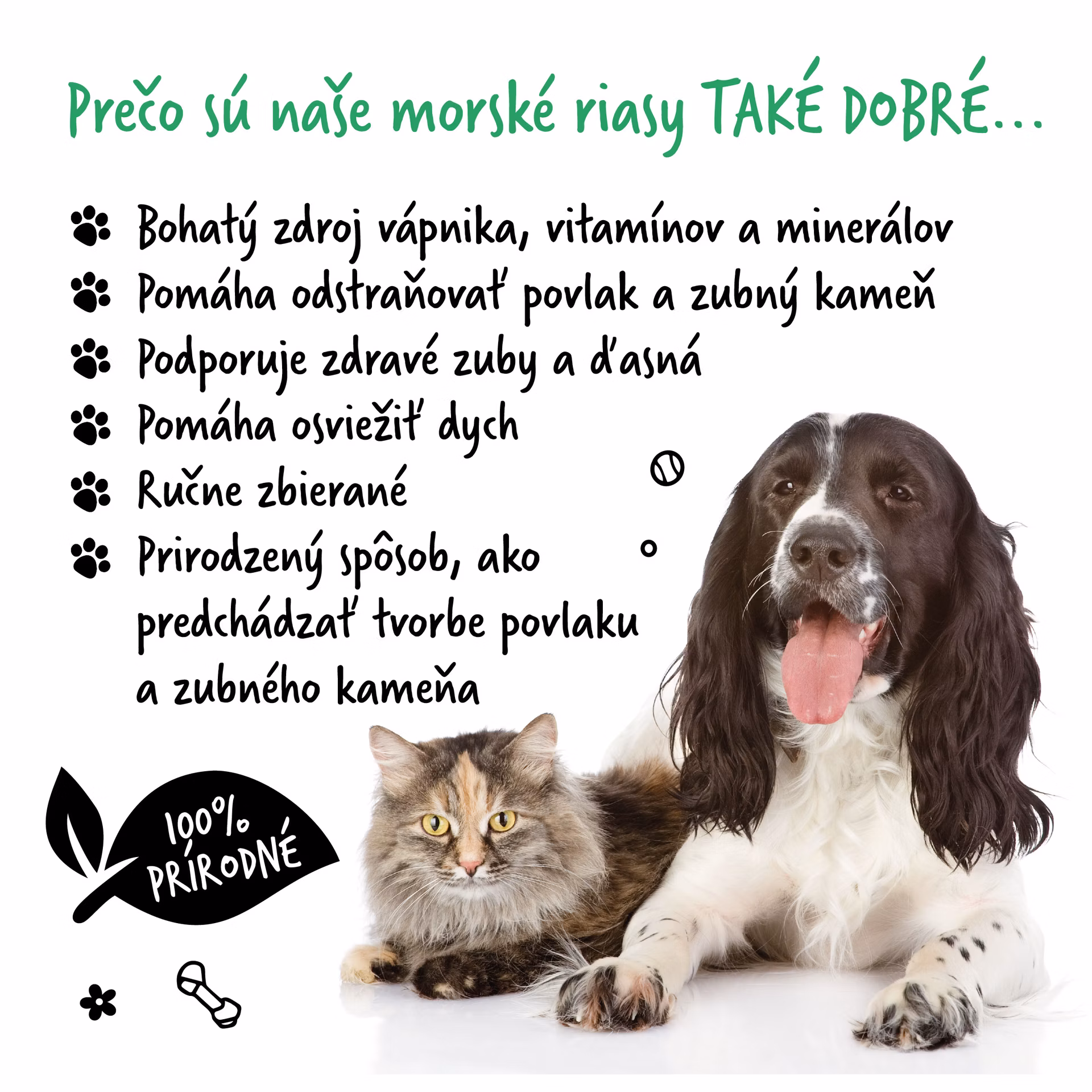 Bugalugs 100 % prírodný prášok proti zubnému povlaku a kameňu pre psov 75 g - 200 g