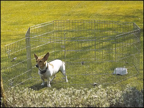 Ohradka Savic Dog Park 1 61cm