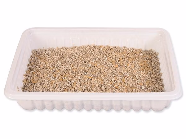 Tráva Trixie pre mačatá sáčok 100g