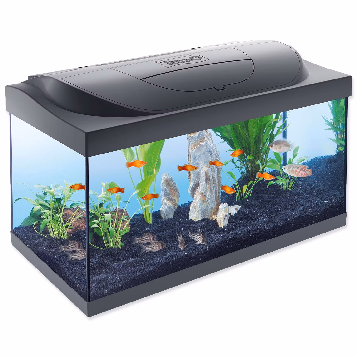 Akvarijný set Tetra Starter Line LED 60x30x30cm 54l