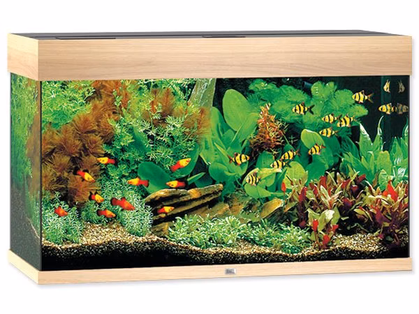 Akvarijný set Juwel Rio LED 125 dub 81x36x50cm 125l