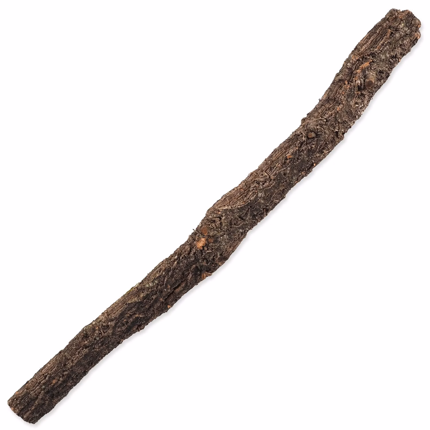 Dekorácia Repti Planet Korková vetvička L 60-90 cm