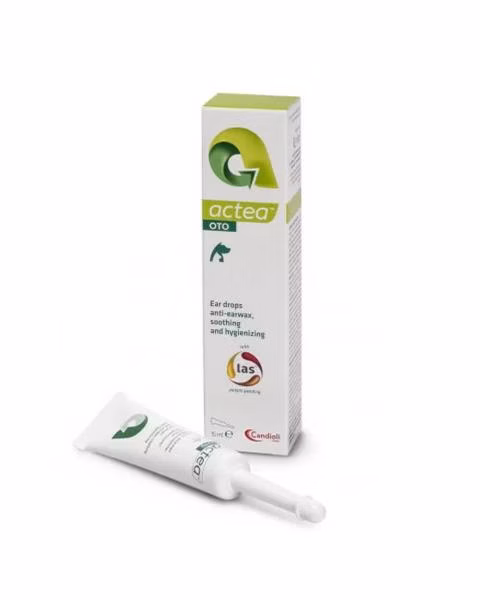 5fa02ae6d6c6fd7ff77f7b4445196b42