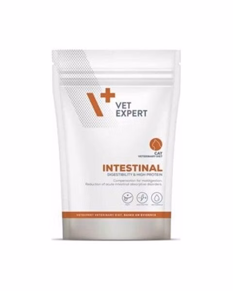 VetExpert VD cat 4T Intestinal 250 g