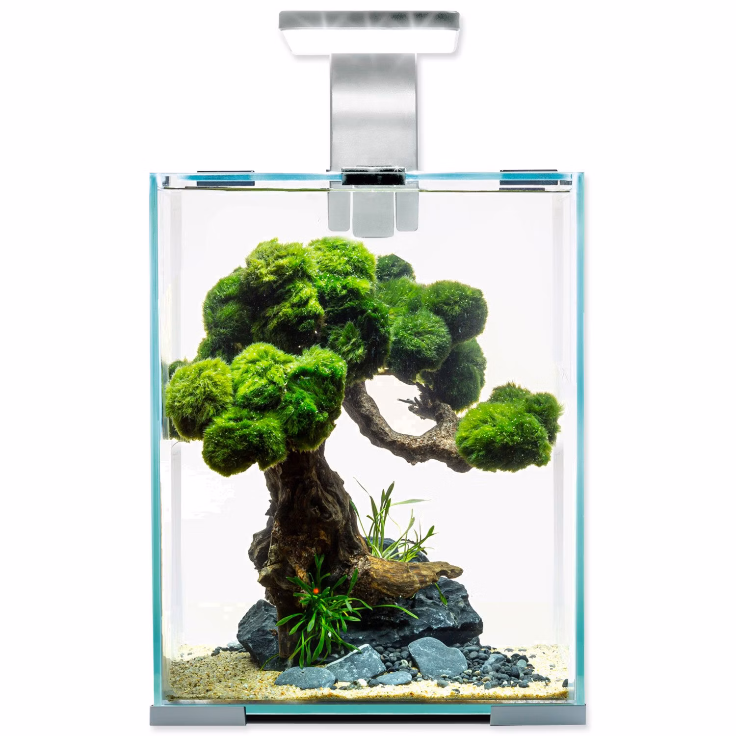 Akvarijný set Aquael SHRIMP SMART Day & Night biely 20x20x25cm 10l