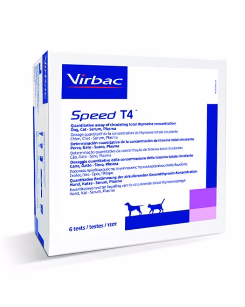 Test Speed T4 6 testov