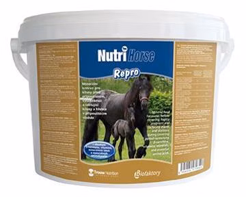 724efa4c743a3631a03a399b5ed05892