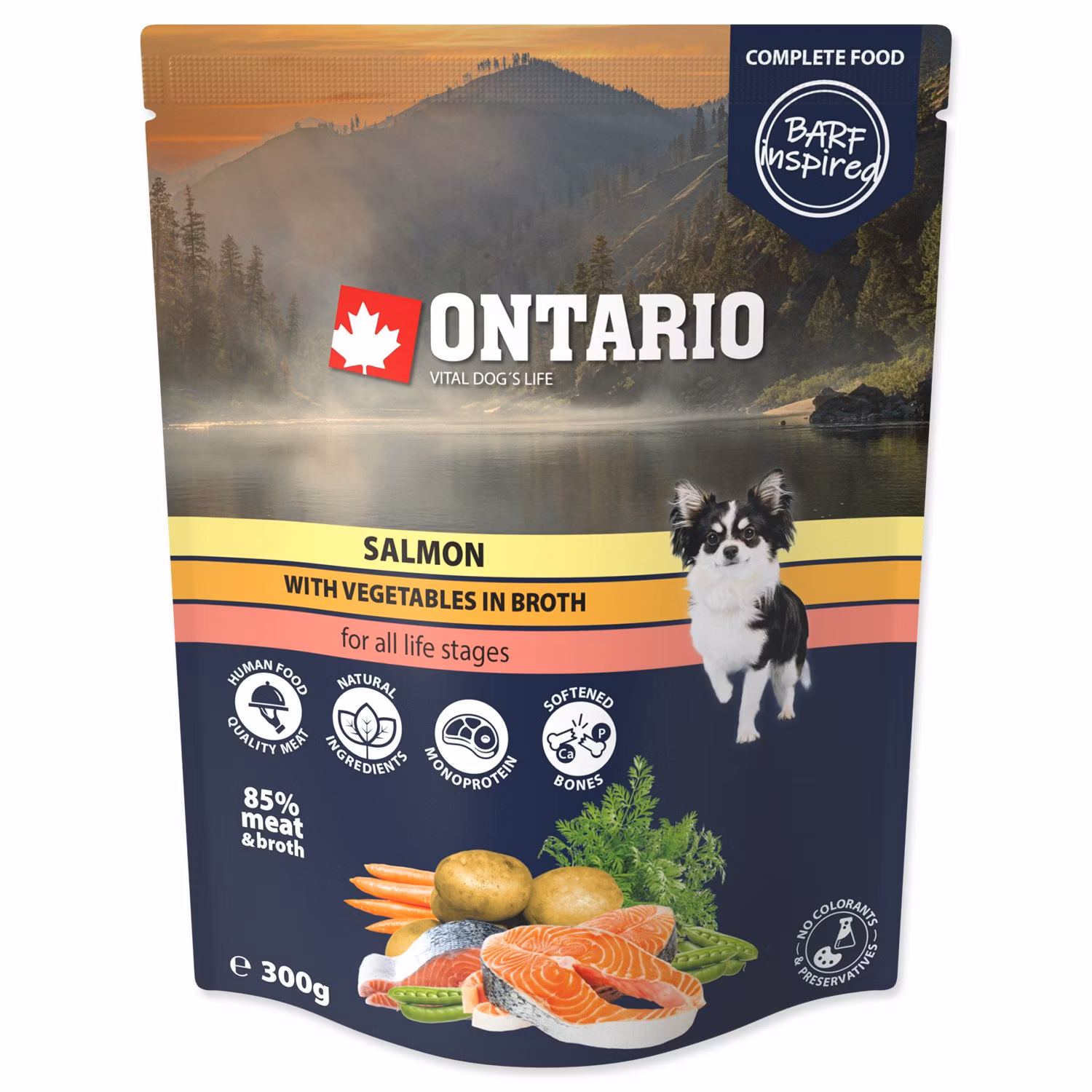 Kapsička Ontario losos so zeleninou vo vývare 300g