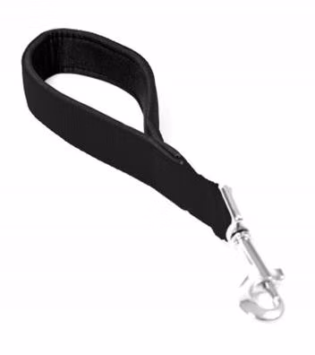 7d318787cb404136b96ad6c42167d598