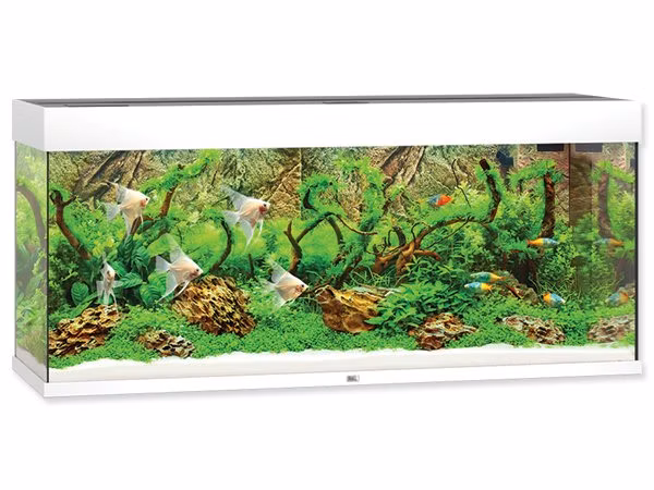 Akvarijný set Juwel Rio LED 240 biely 121x41x55cm 240l