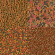 95d72225549c4015305708ae6e574e5b