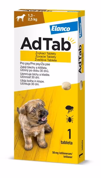 9ae0d36e85fb40482261b58cdeee0abf