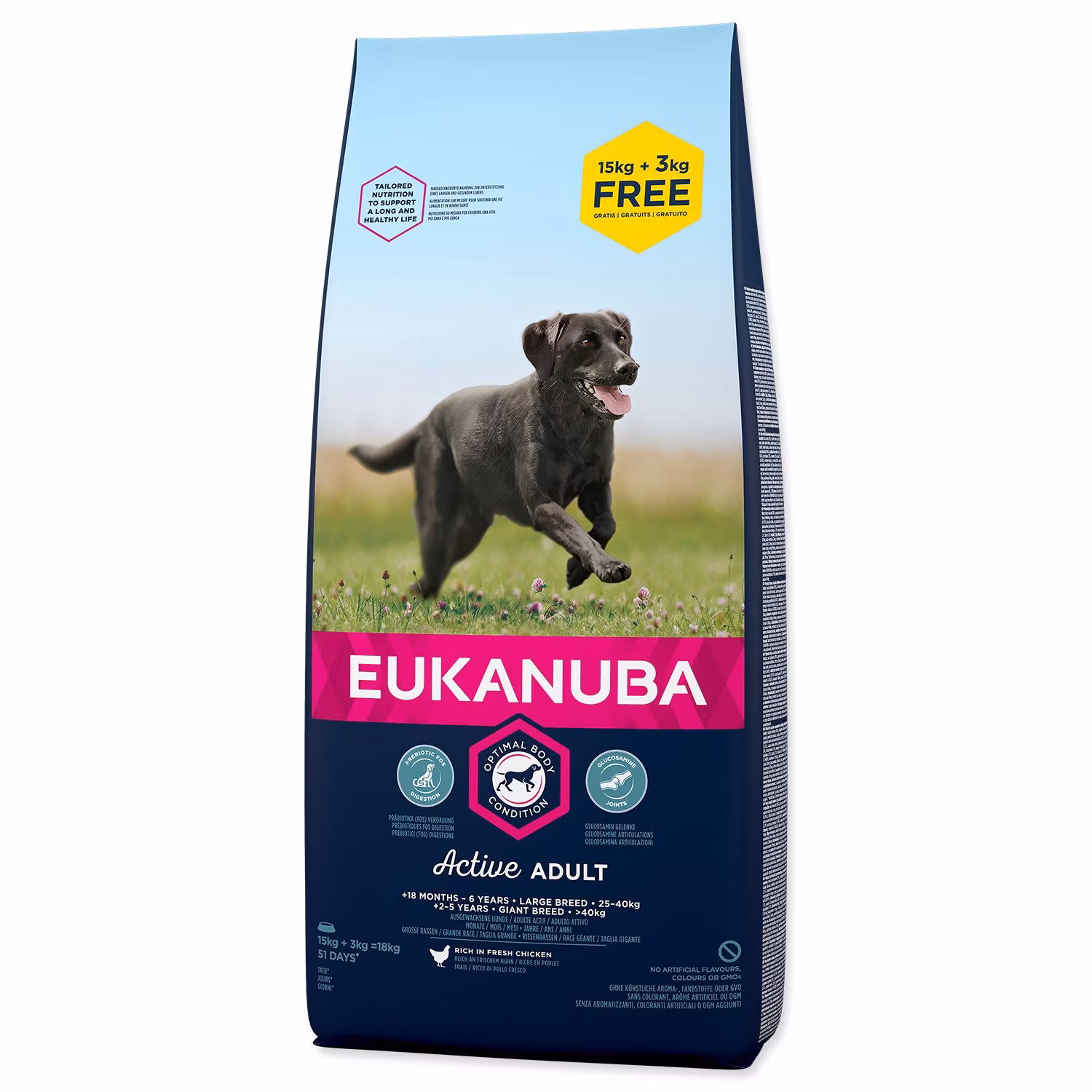 Krmivo EUKANUBA Adult Large 15+3kg ZDARMA