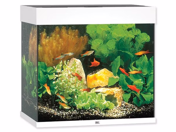 Akvarijný set Juwel Lido LED 120 biely 61x41x58cm 120l