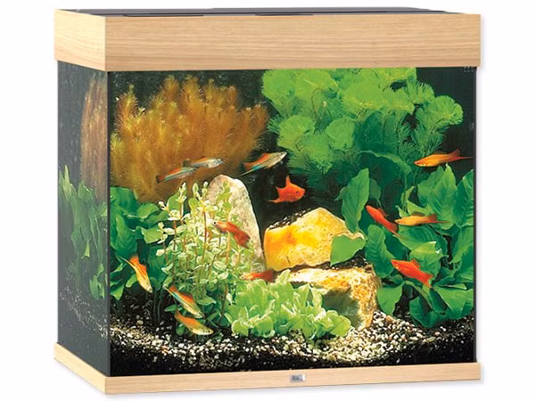 Akvarijný set Juwel Lido LED 120 dub 61x41x58cm 120l