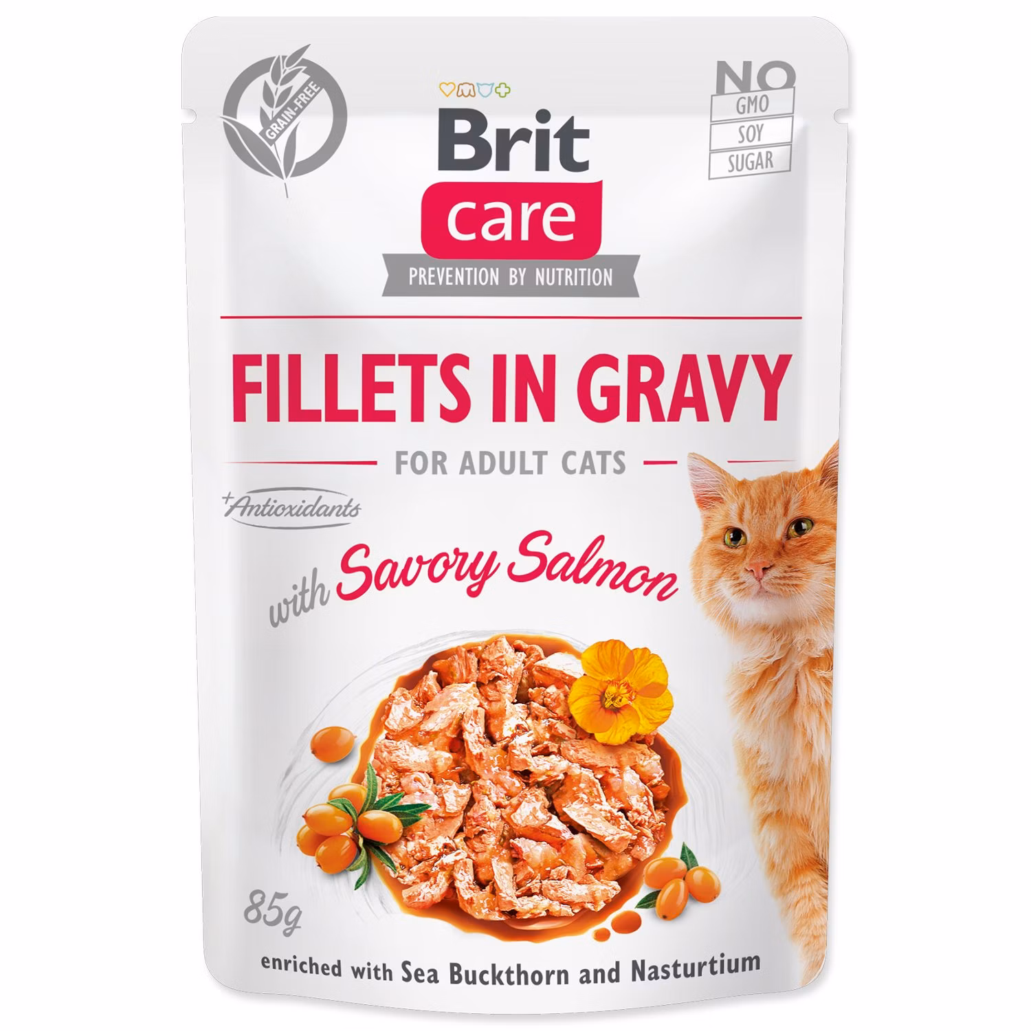 Kapsička Brit Care Cat losos, filety v omáčke 85g