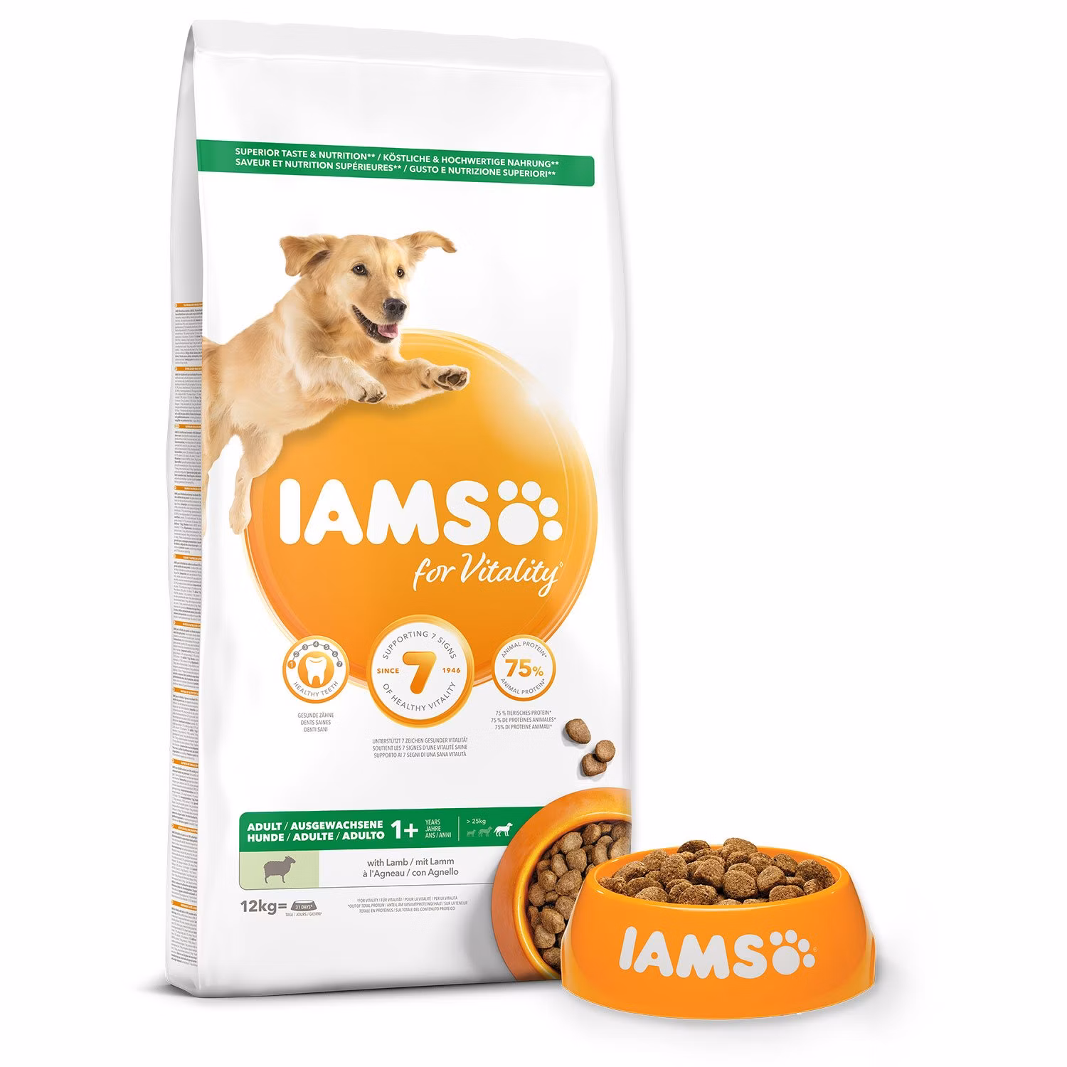 Krmivo IAMS Dog Adult Large Lamb 12kg