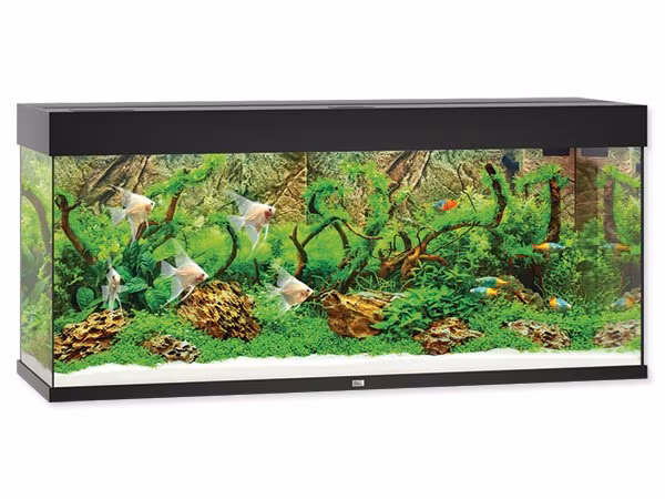 Akvarijný set Juwel Rio LED 240 čierny 121x41x55cm 240l