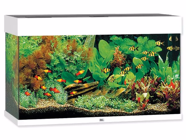 Akvarijný set Juwel Rio LED 125 biely 81x36x50cm 125l