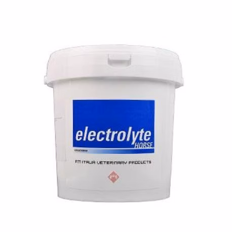 ELECTROLYTE HORSE 3000G