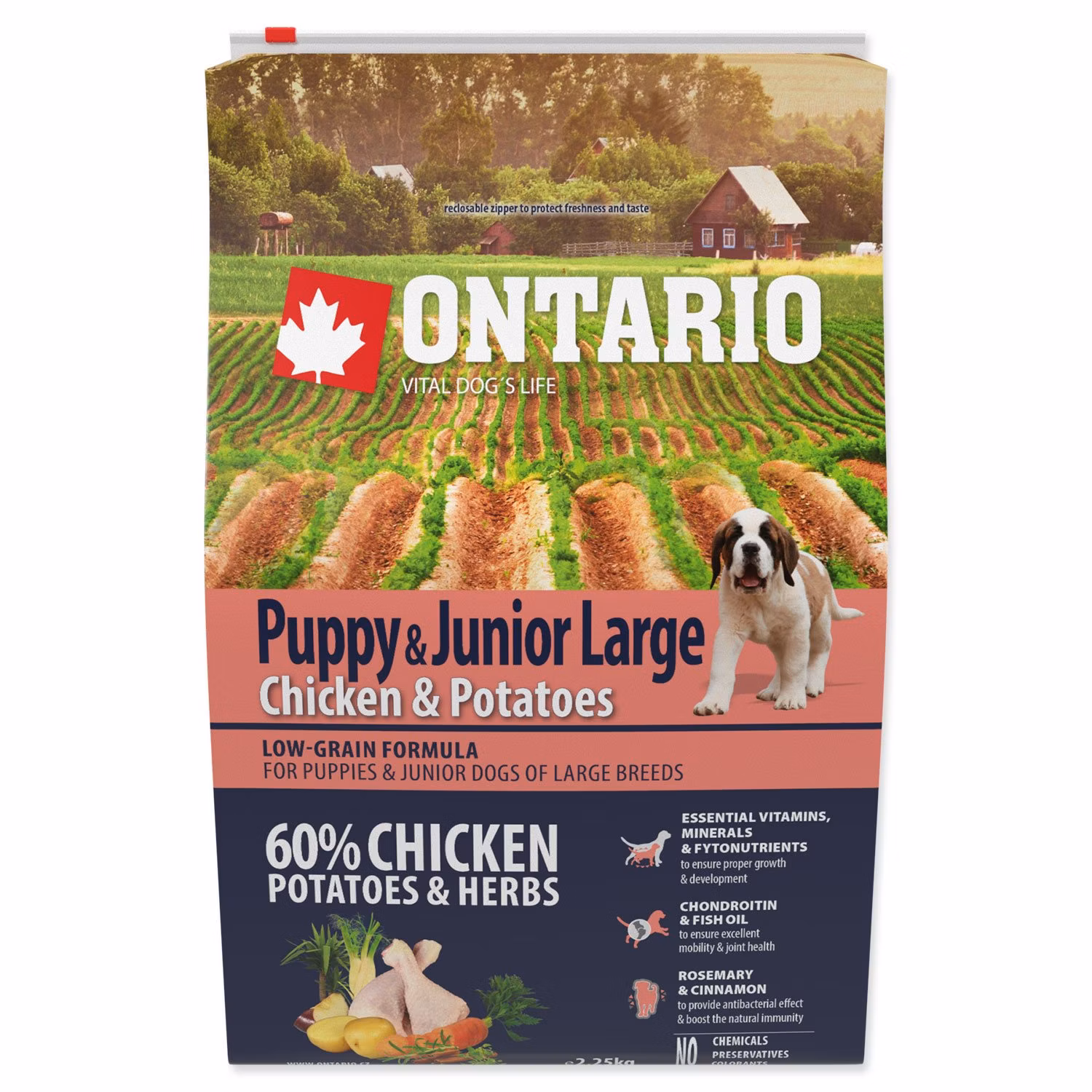 Krmivo Ontario Puppy & Junior Large Chicken & Potatoes 2,25kg