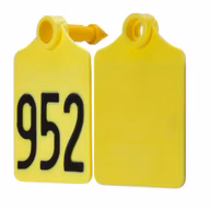 b888594031b1e4960d7f2c2f94231958
