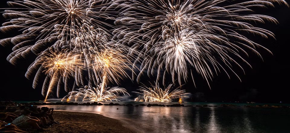 Silvester a zvieratá
