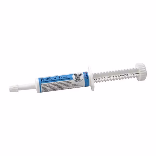c26c6ef4d50e82369455334b8751debe