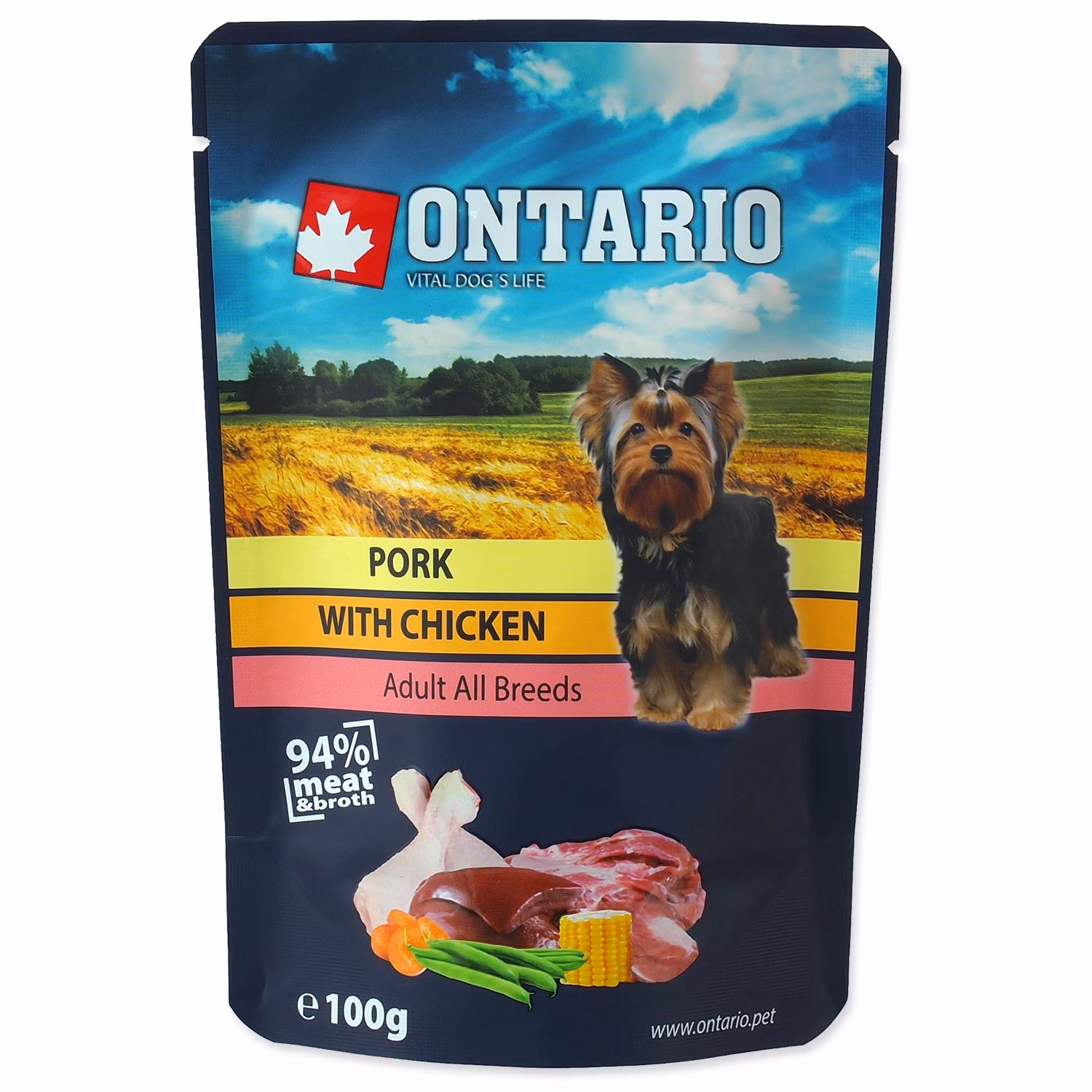 Kapsička Ontario bravčové s kuraciem vo vývare 100g
