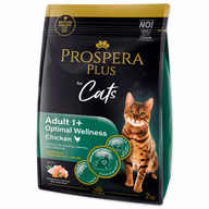 c5bfc40f51fdbc084ea8a1d6ba90c89a