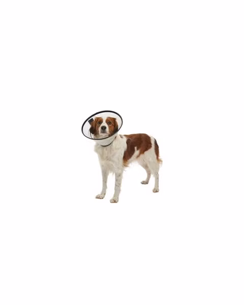 c71d411af39f3de28c911bcf80824f57