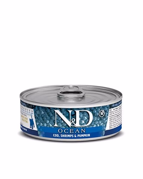ca925fdb67cd10961bddf3c05f5b2e26
