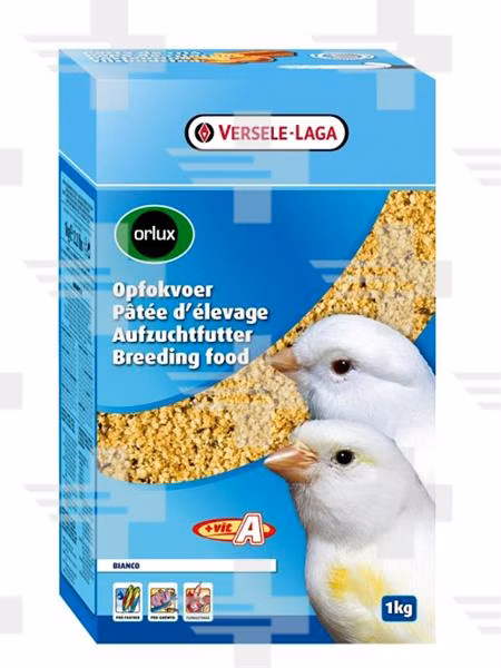 cf6e28b1ce3a0a8323d12c8c16381ab5